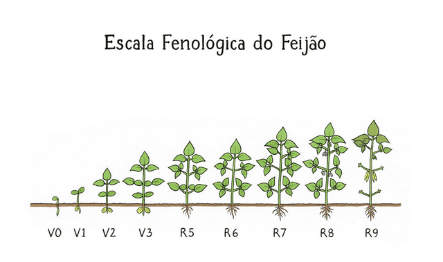 Vai plantar soja saiba quais sao os 5 paises que mais compram